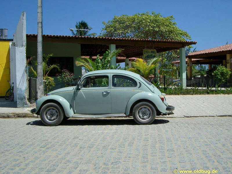 Käfer in Brasilien